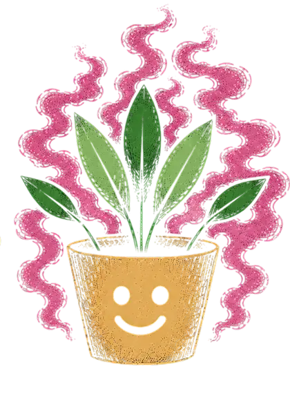 Overflowing pot — after